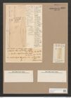 Frustulia rhomboides (Ehr.) De-Toni (de-Toni-Nr.: Genus 19, Species 1159) Zeichnungen Sammlung Grunow Nr. 2256 (NHMW-BOT-W0369361)